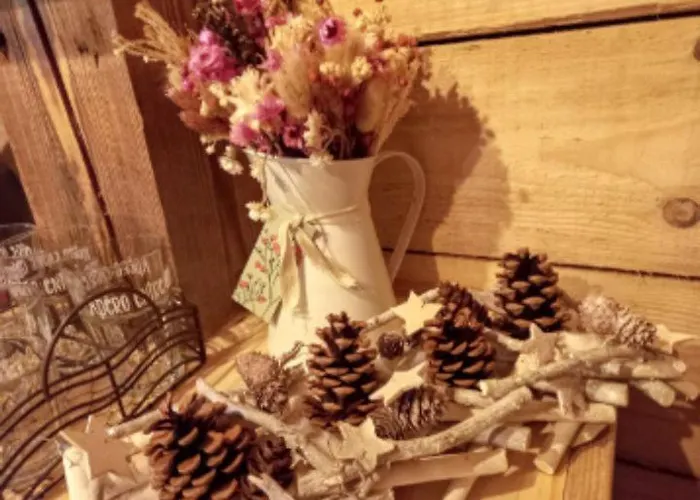 Location Vosges De 1 A 4 Pers Proche Alsace Apartmán *