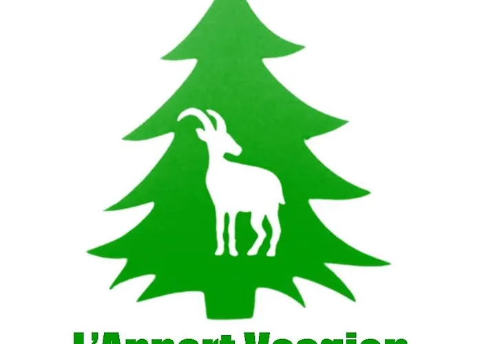 Location Vosges De 1 A 4 Pers Proche Alsace